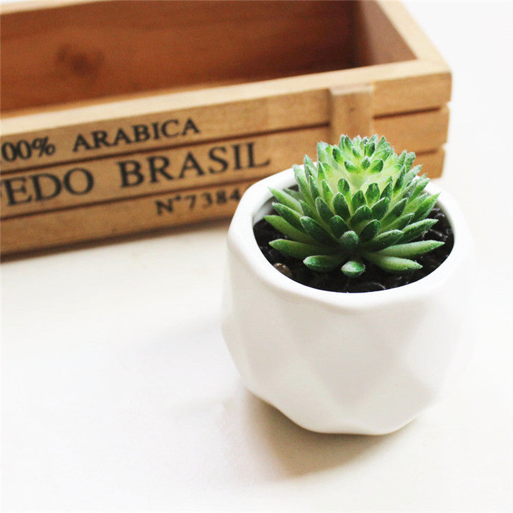 Artificial Succulent Bonsai Creative Ornaments for Home Table Garden Decoration Artificial Plants with Pot